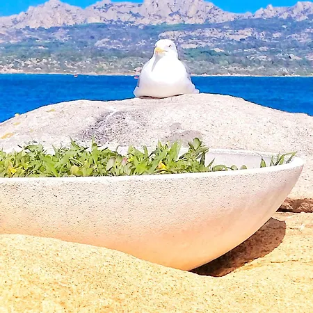 Gardenia Con Parcheggio Privato شقة